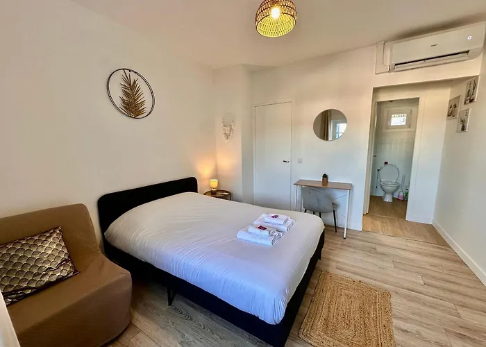 Pic Du Jer - 1 - 15 Min Sanctuaire Appartement Lourdes