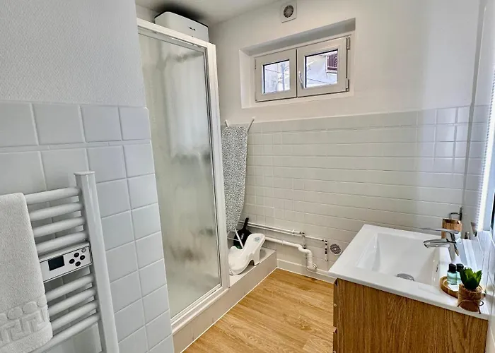 Pic Du Jer - 1 - 15 Min Sanctuaire Apartamento Lourdes