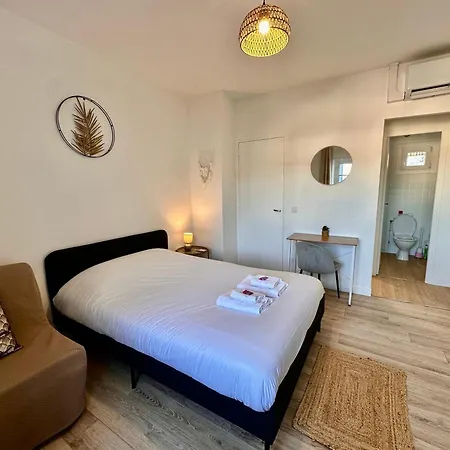 Pic Du Jer - 1 - 15 Min Sanctuaire Apartment Lourdes